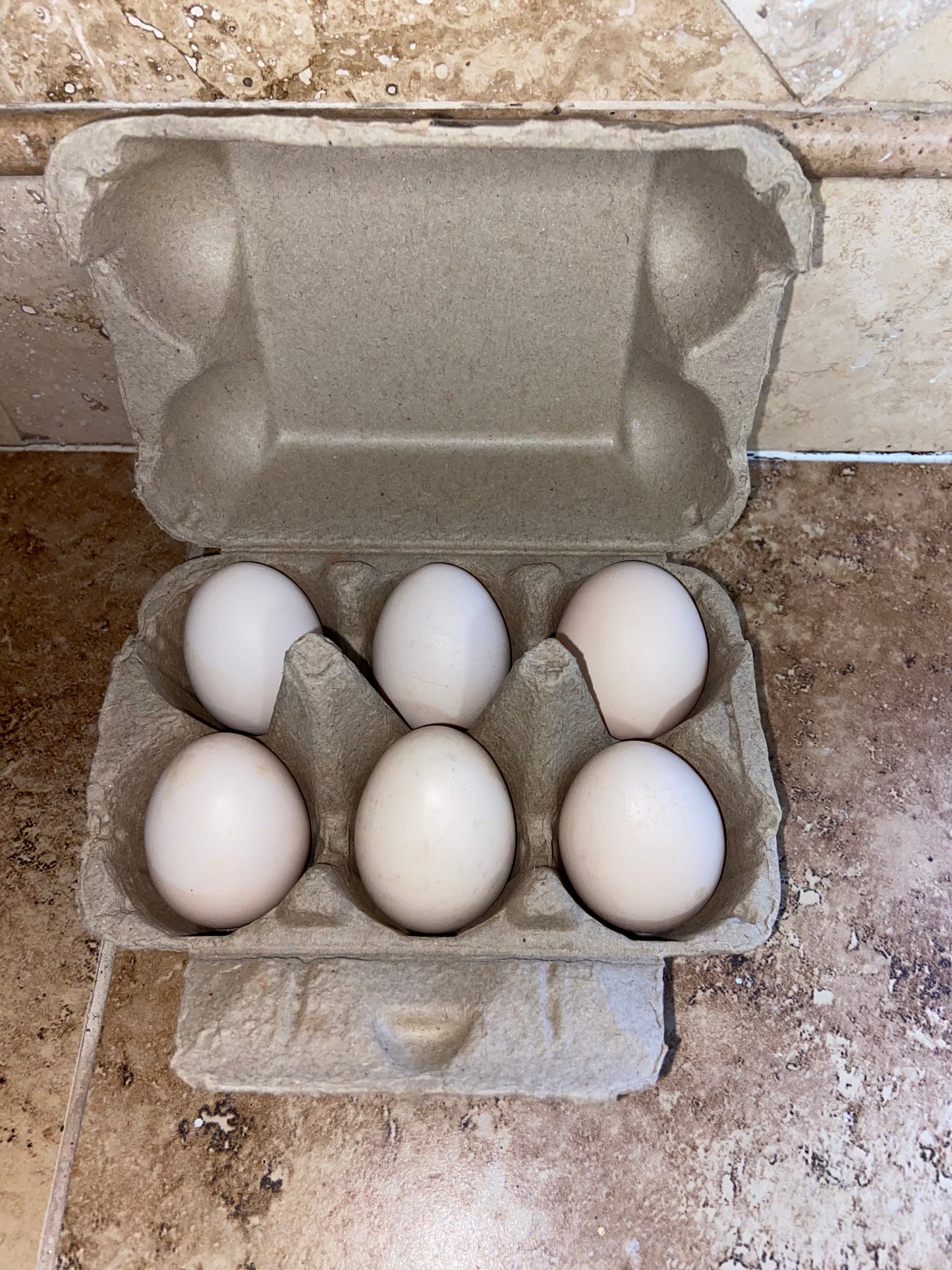 Farm Fresh Eggs