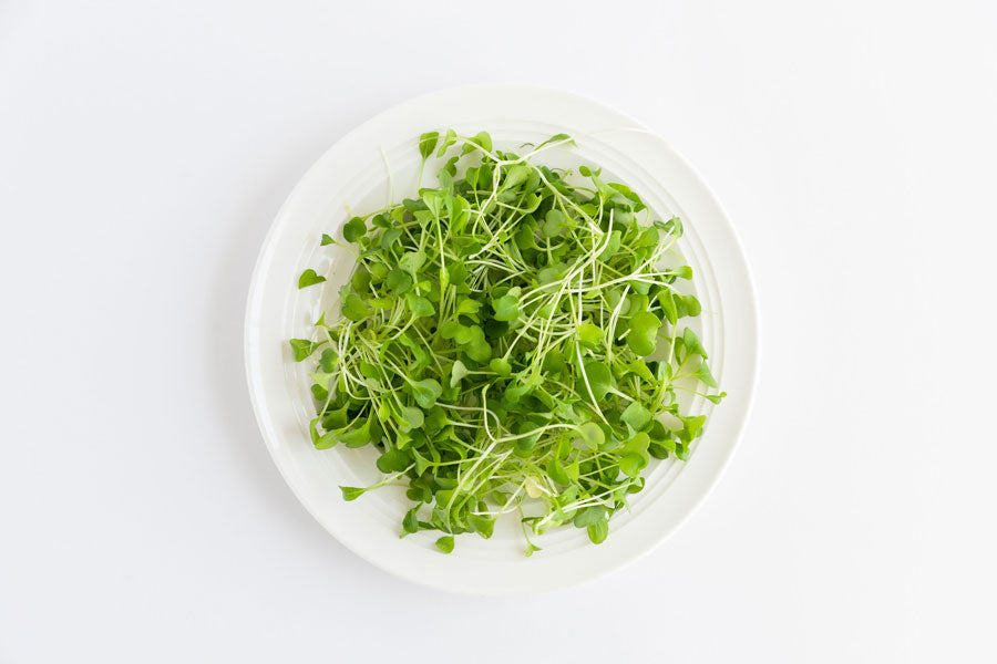 Arugula