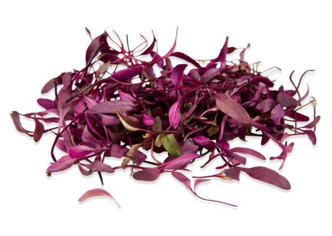 Bulls Blood Beets