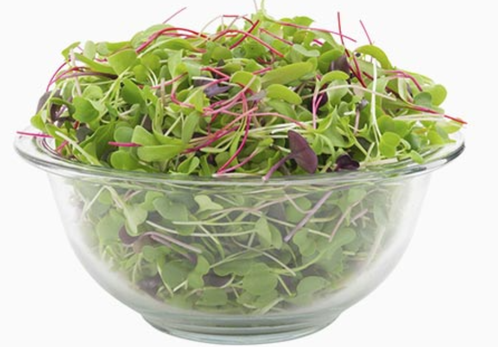 Spicy Salad Mix