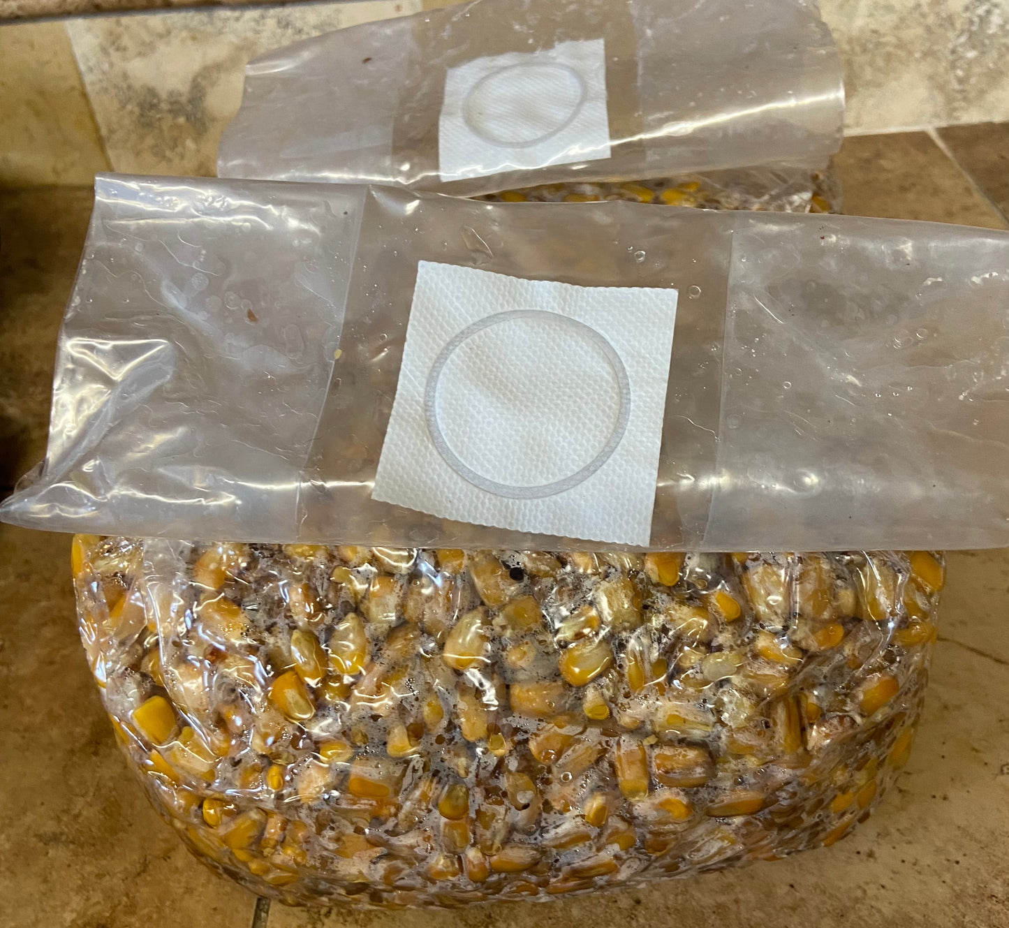 5 Lb Sterilized Grain Bags for Mushroom Growing - Pack of 2