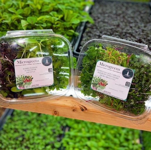 2- Pack Microgreens Sampler - CONNECTICUT HOME DELIVERY